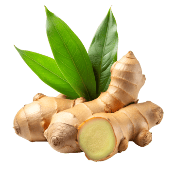 🌿 Ginger
